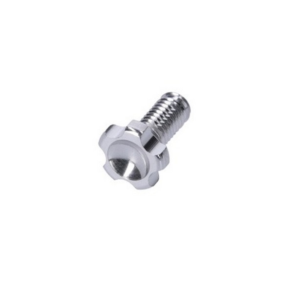 Tech3 Adjusting Screw for Lever Reach and Pressure Point Silver