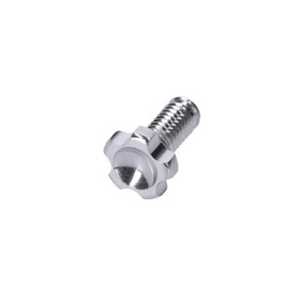 Tech3 Adjusting Screw for Lever Reach and Pressure Point Silver - image