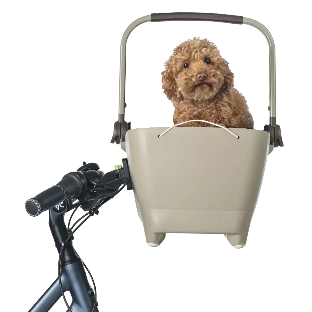 Front wheel pet basket Buddy KF biscuit