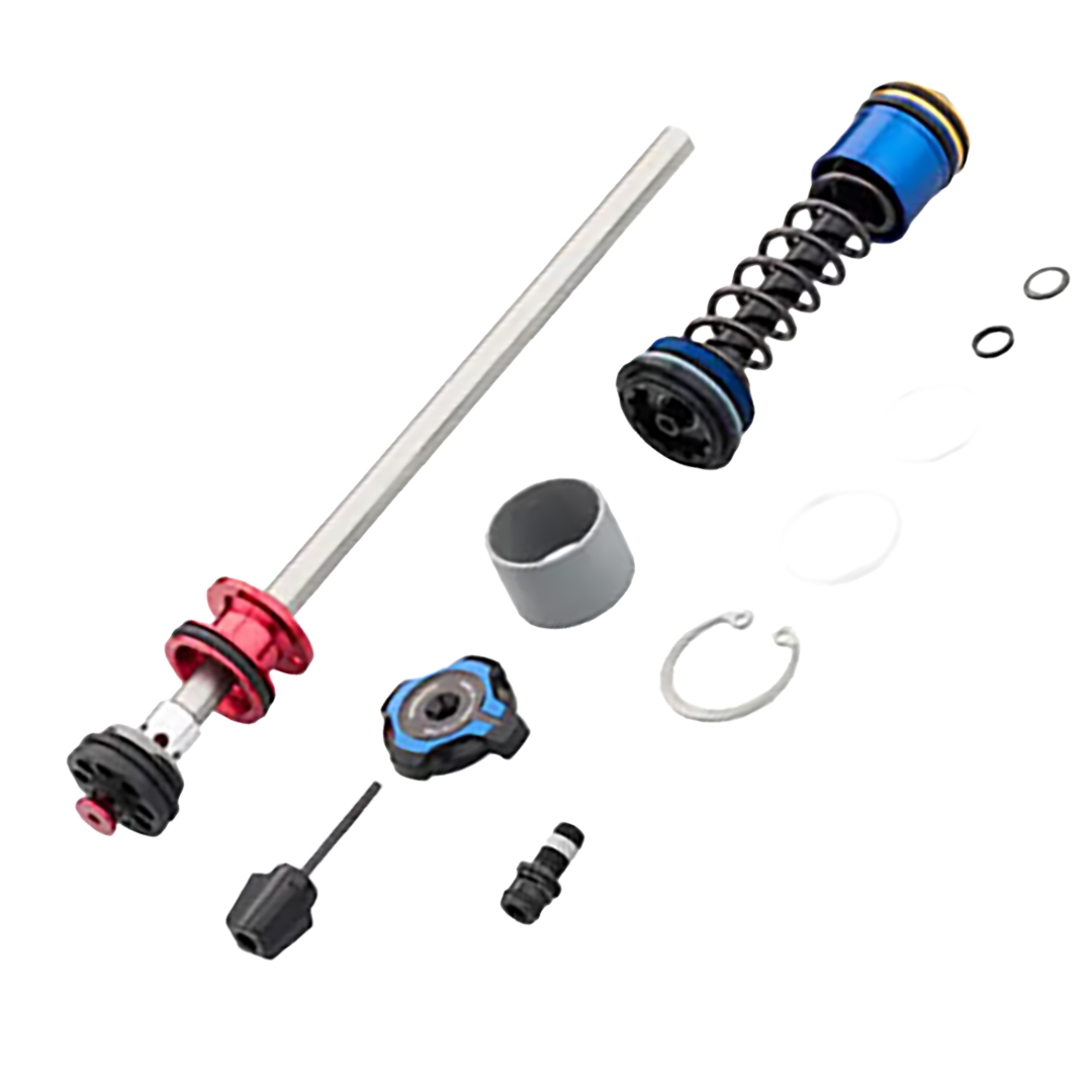 Gruppo Smorzatore Ritorno Psylo Gold RC A1+ Crown Compr.+Rebound