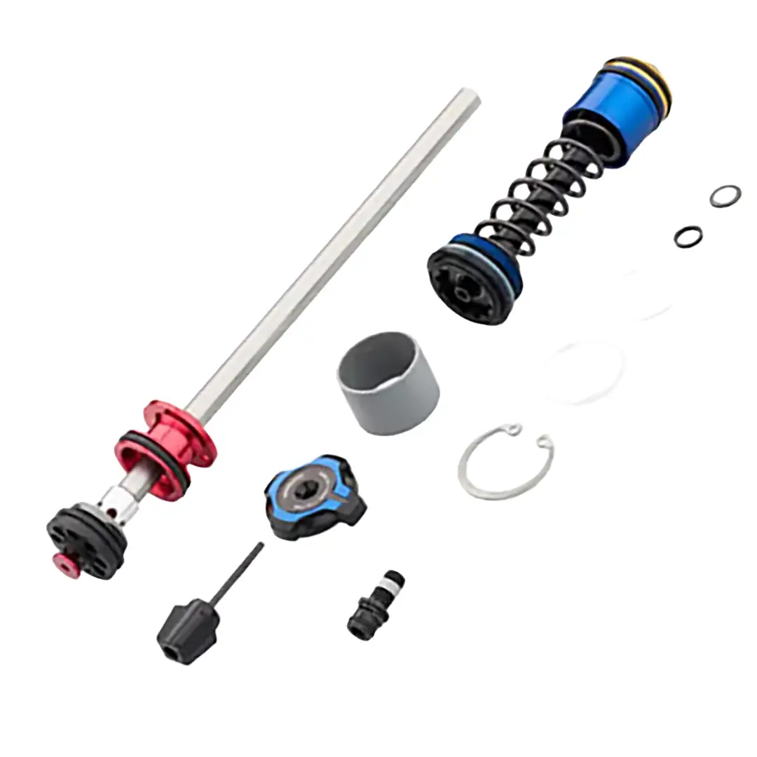 Gruppo Smorzatore Ritorno Psylo Gold RC A1+ Crown Compr.+Rebound - image