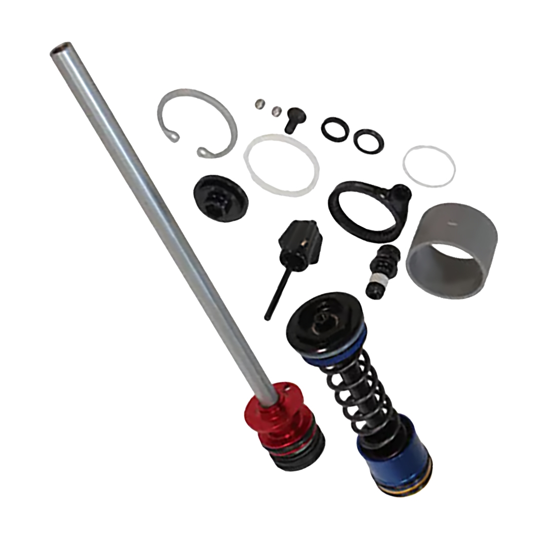 Gruppo Smorzatore Ritorno Psylo Gold RC A1+ Remote Compressione+Rebound