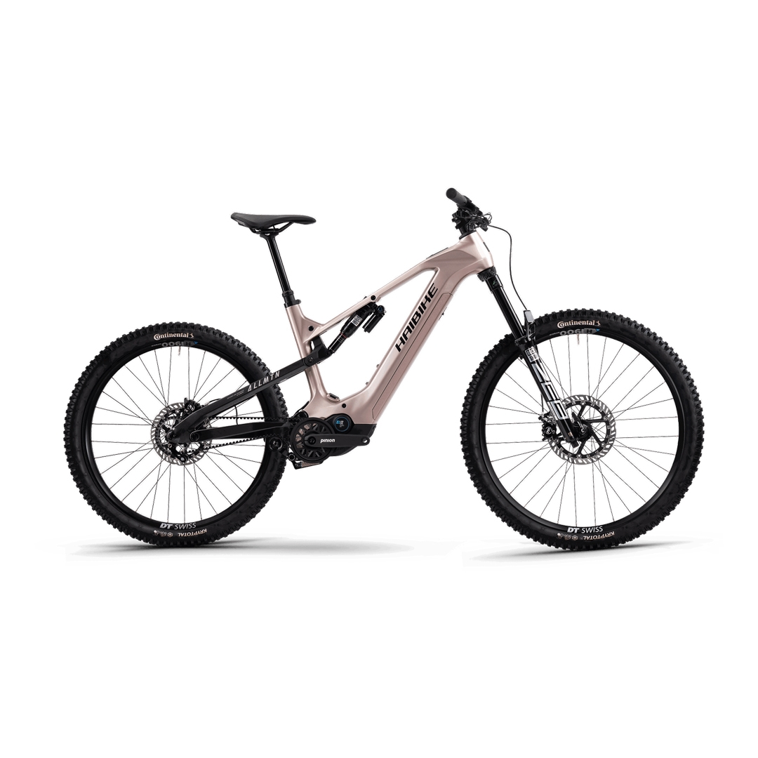 Allmtn cf 11 29 / 27,5 '' 160 mm 12v 800 WH Pation E1.12 Gray Taille L