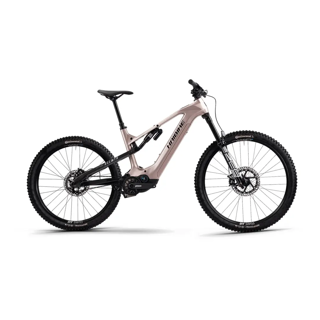 Allmtn cf 11 29 / 27,5 '' 160 mm 12v 800 WH Pation E1.12 Gray Taille L - image