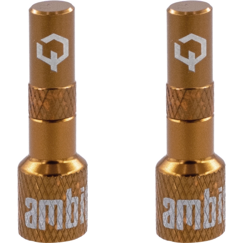 Adattatore Valvola Tubeless Realm Bronzo