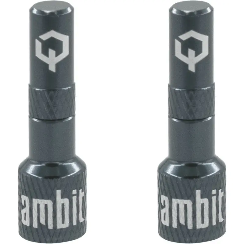 Adattatore Valvola Tubeless Realm Grigio - image