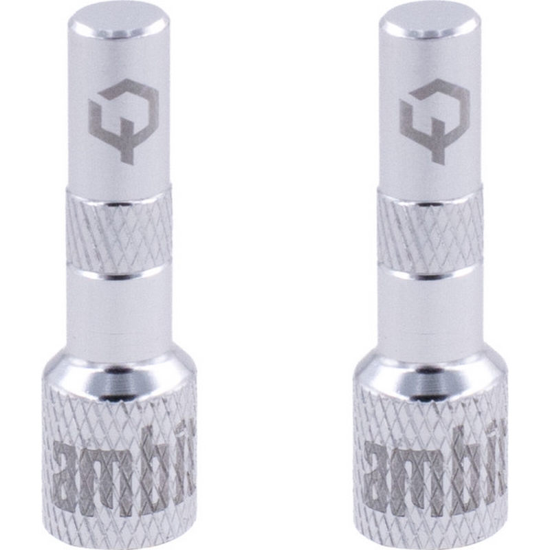 Adattatore Valvola Tubeless Realm Argento