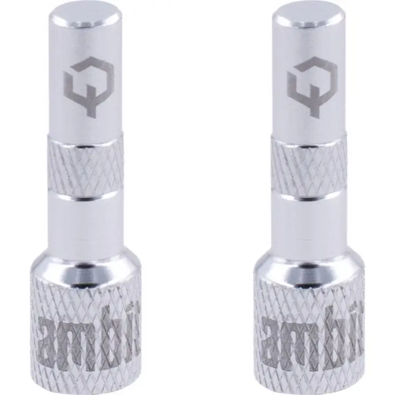 Adattatore Valvola Tubeless Realm Argento - image