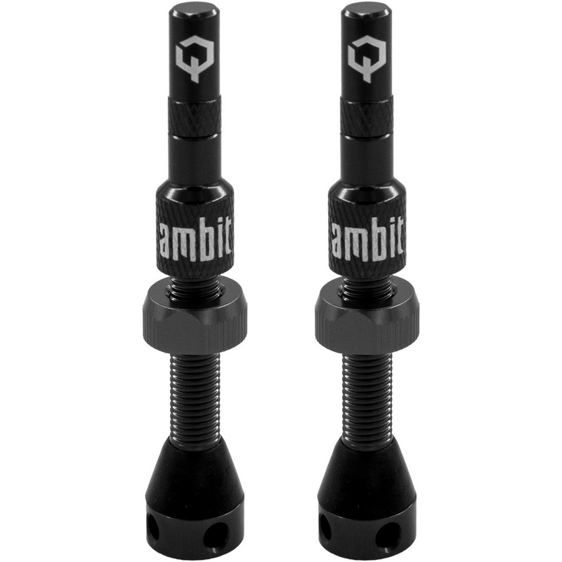 Coppia Valvole Tubeless Stem Realm 40mm Nero