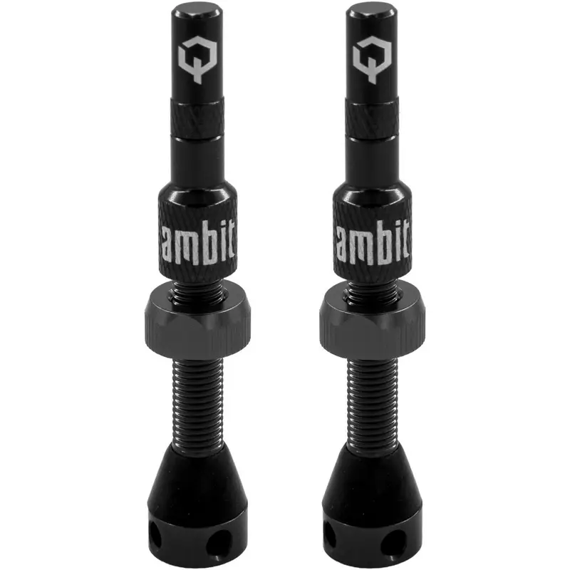 Coppia Valvole Tubeless Stem Realm 40mm Nero - image