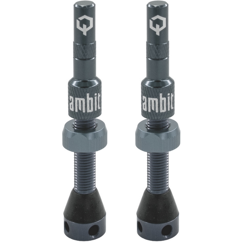 Coppia Valvole Tubeless Stem Realm 40mm Grigio