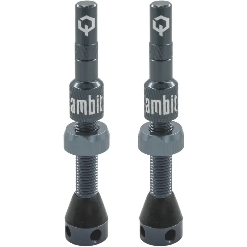 Coppia Valvole Tubeless Stem Realm 40mm Grigio - image