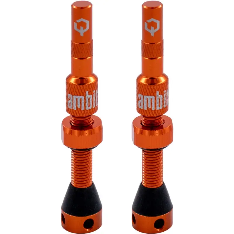 Coppia Valvole Tubeless Stem Realm 40mm Arancio - image