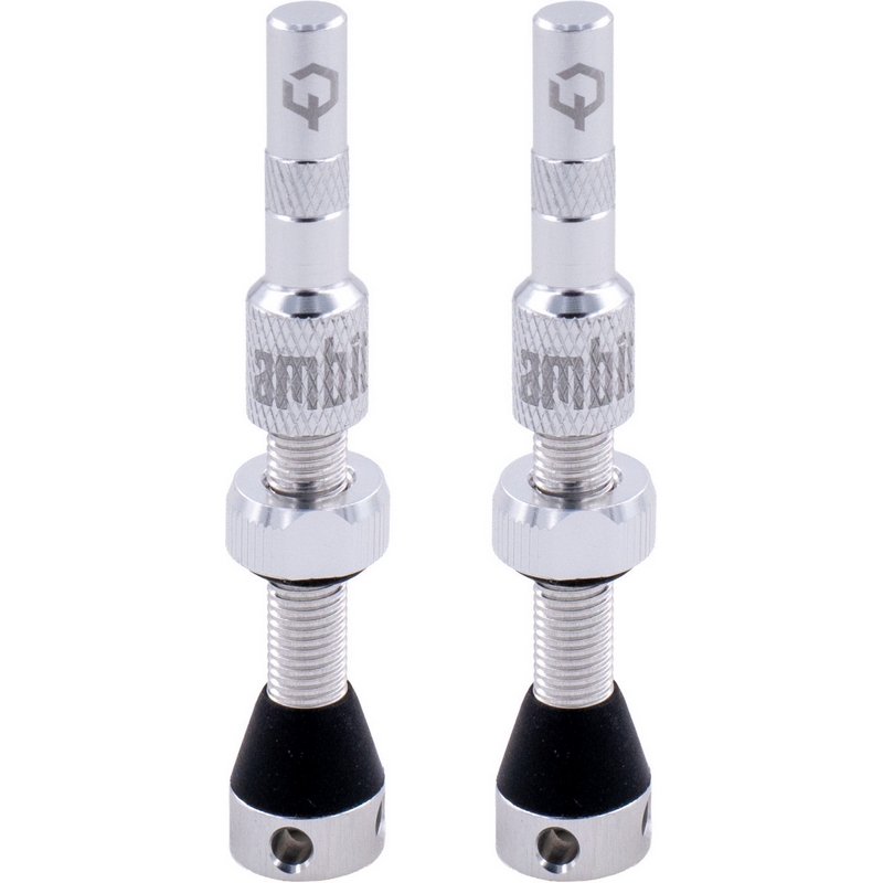 Coppia Valvole Tubeless Stem Realm 40mm Argento