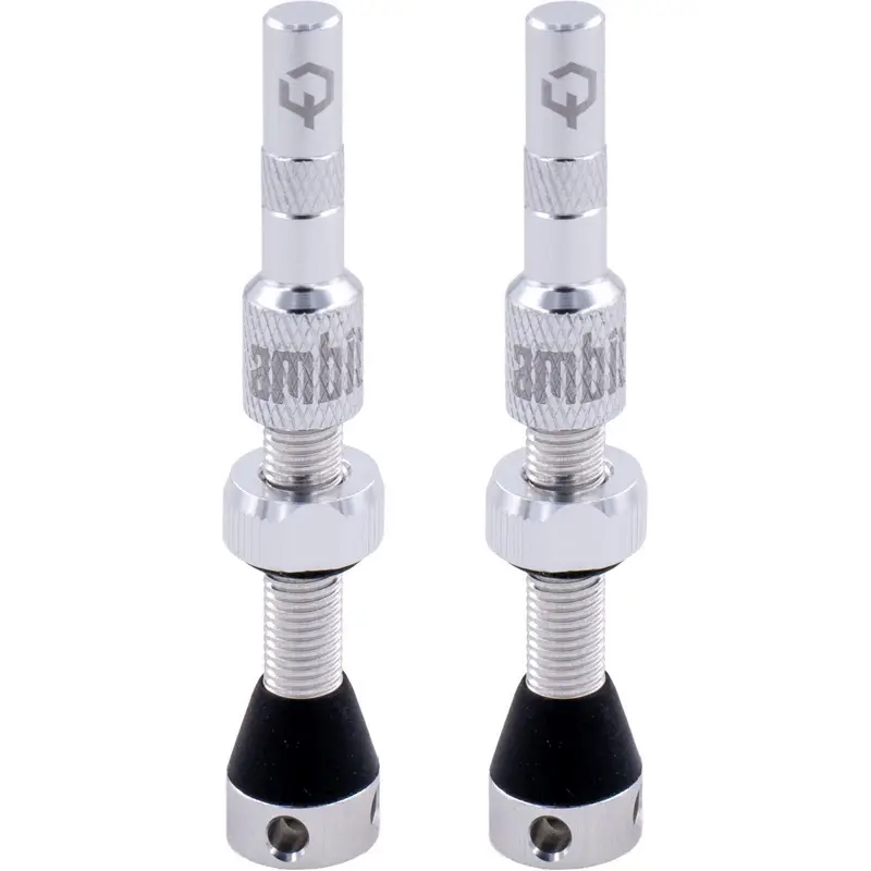 Coppia Valvole Tubeless Stem Realm 40mm Argento - image