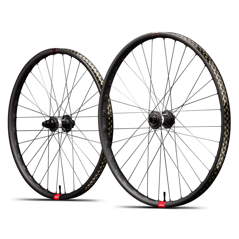 Coppia Ruote MTB 30|HD DH Carbon 29 Mozzo DT Swiss 350 DEG 20x110/12x157mm Corpetto XD 12v
