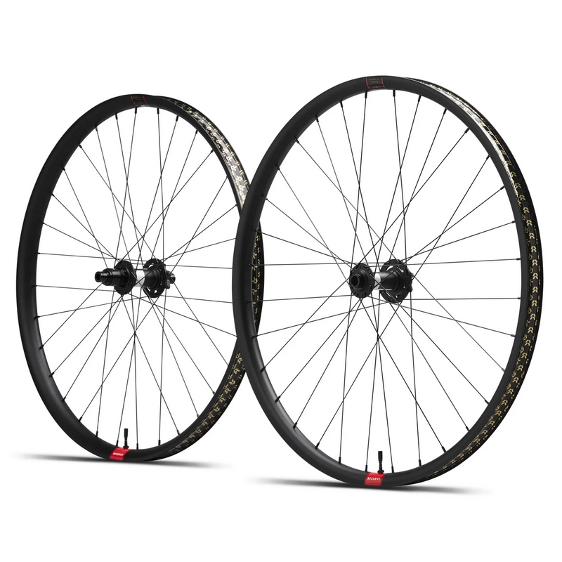 Coppia Ruote MTB 30|SL Alluminio 29'' DT Swiss 350 DEG DF 6 Fori 15x110/12x148mm XD 12v