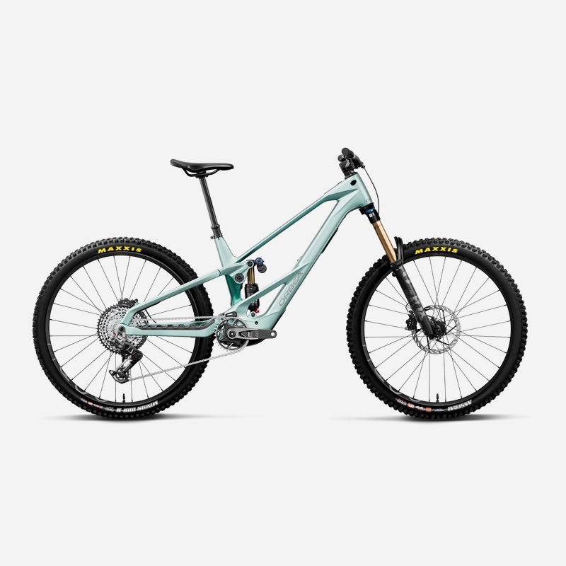 WILD LT M-TEAM RS 29'' 12v 170mm 800Wh Avinox M2S Smooth Silver/Escape Green C View 2027 Größe S