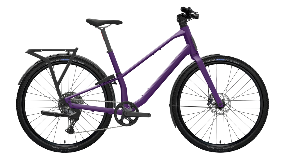 VECTOR 10 27.5'' 1v Royal Plum 2027 Talla S