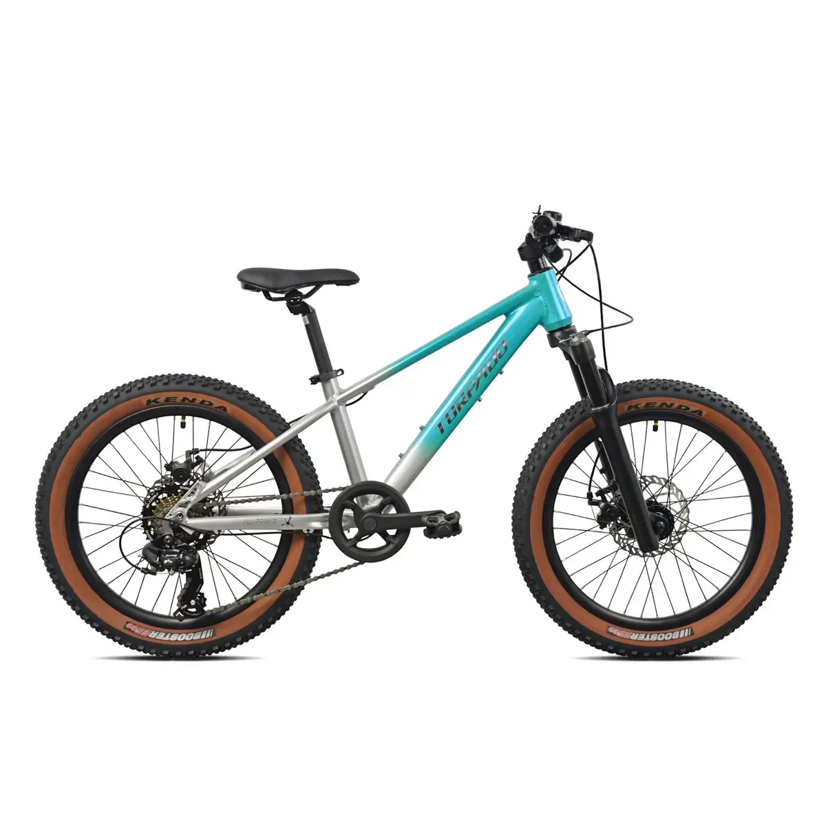 Bicicleta MTB Criança 6-8 Anos 20'' Tigre Alumínio T625 6v Prata/Água Marinha - image