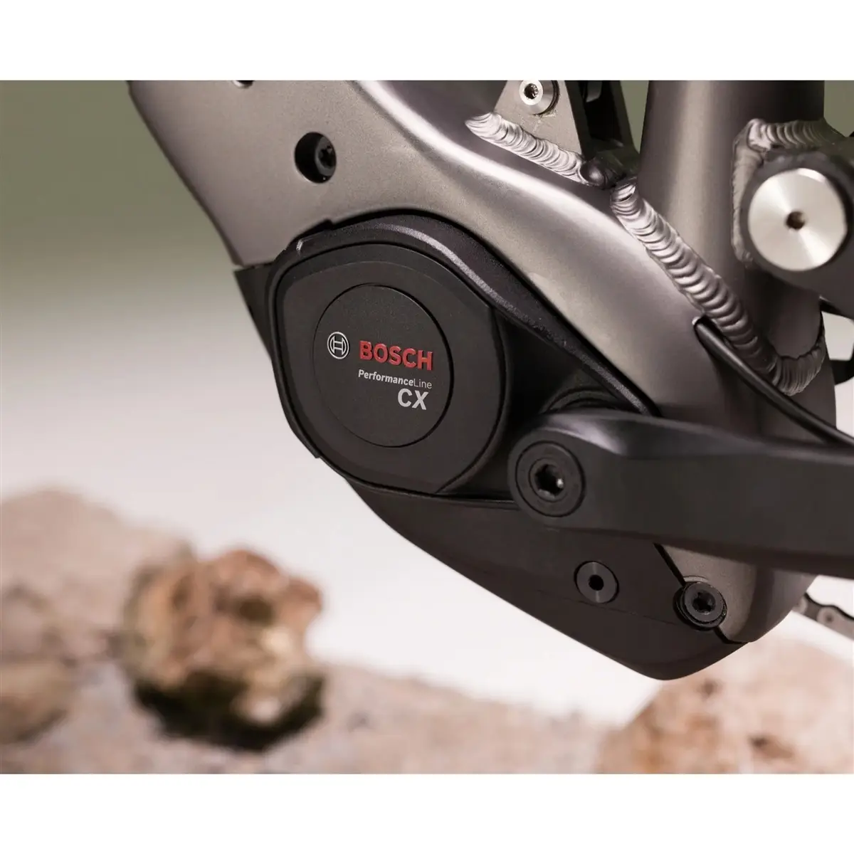 Ridge Trail Sport 29'' 150mm 12V 800Wh Bosch Performance Line CX Grigio 2027 Taglia L #2