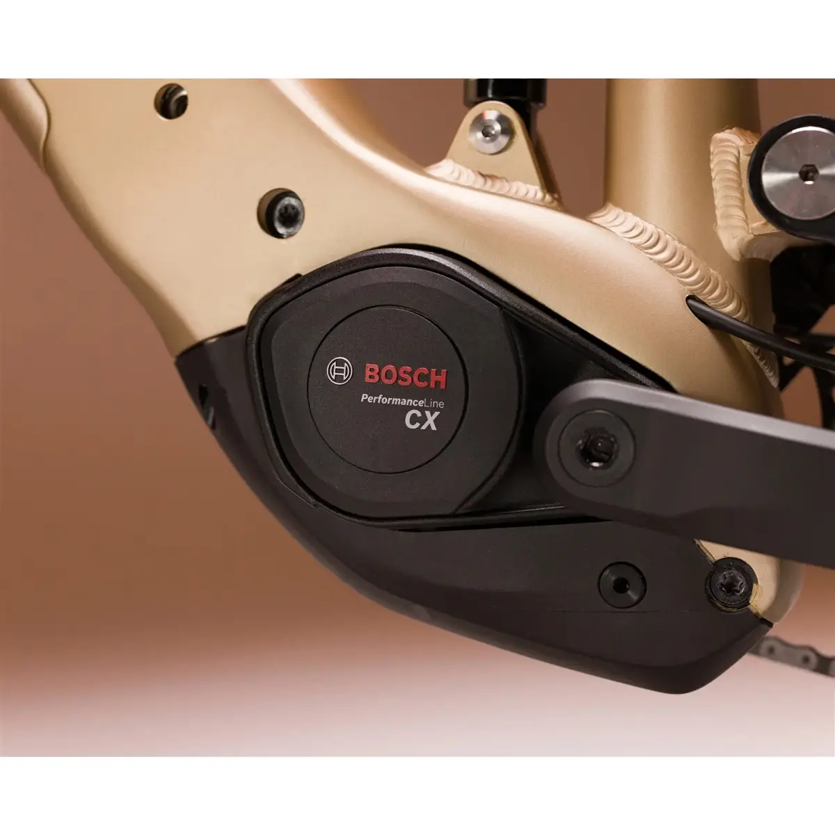 Ridge Trail Sport 29'' 150mm 12V 800Wh Bosch Performance Line CX Ouro 2027 Tamanho L #2