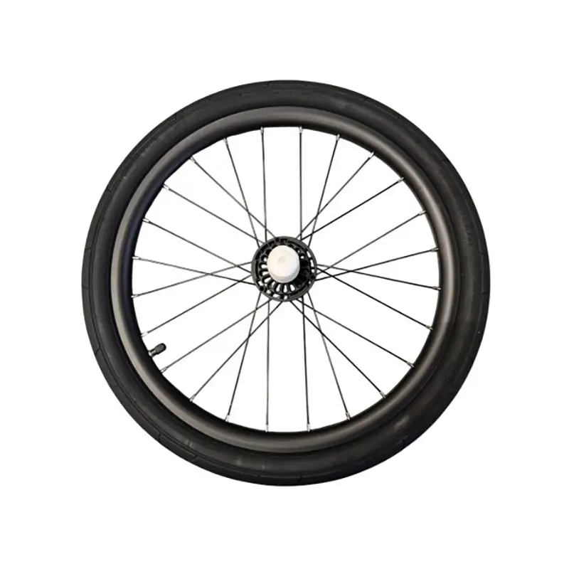 Hinterrad für Chariot Sport 2 20'' 24 Speichen mit Scheibenbremse - image