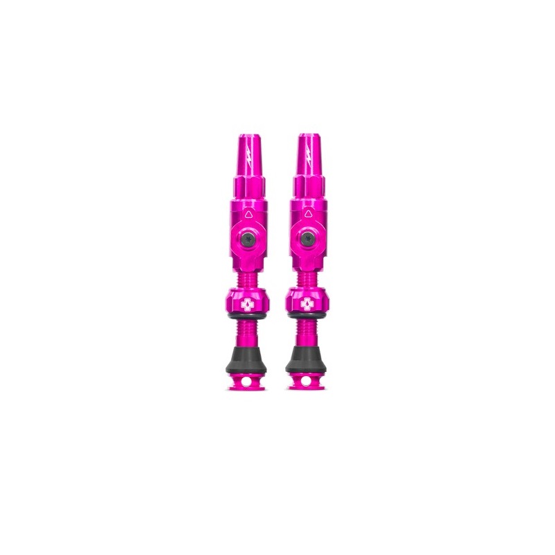 Coppia Valvole Tubeless Big Bore Lite Medium 45mm Rosa