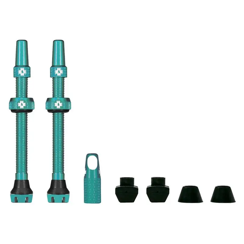 Paire de Valves Tubeless 60mm V2 Compatible avec les Inserts Turquoise - image