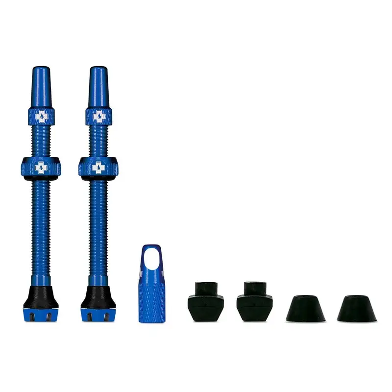Paire de Valves Tubeless 60mm V2 Compatible avec les Inserts Bleus - image