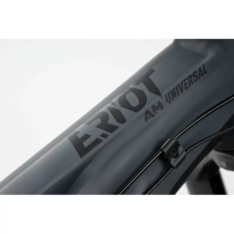 E-riot AM AL 160/160 Universal 27.5'' 160mm 12v 750Wh Bosch Performance Line CX Grigio 2023 Taglia S #4
