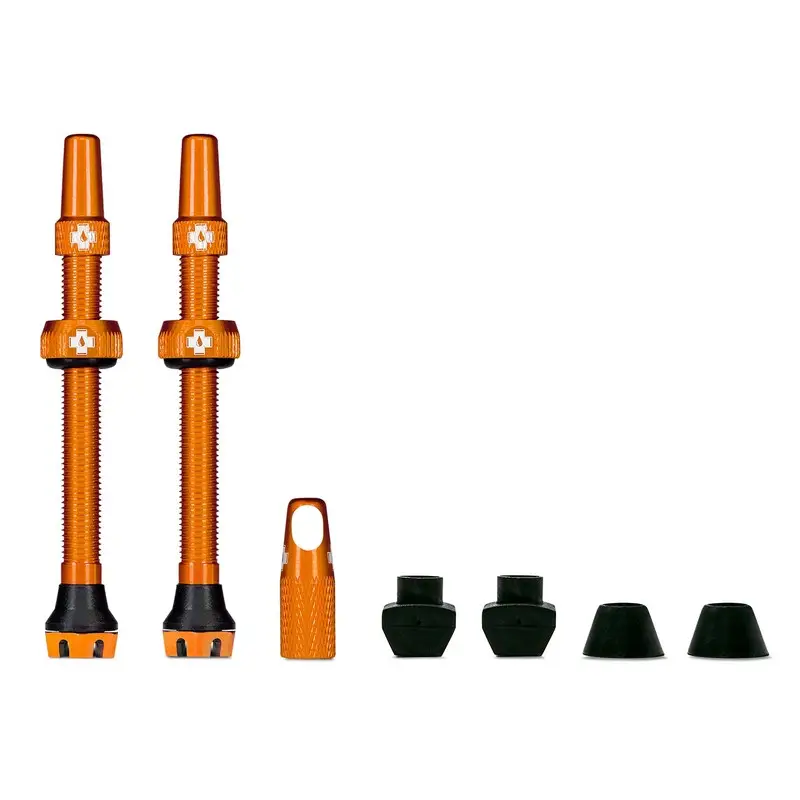 Paire de Valves Tubeless 60mm V2 Compatible avec les Inserts Orange - image