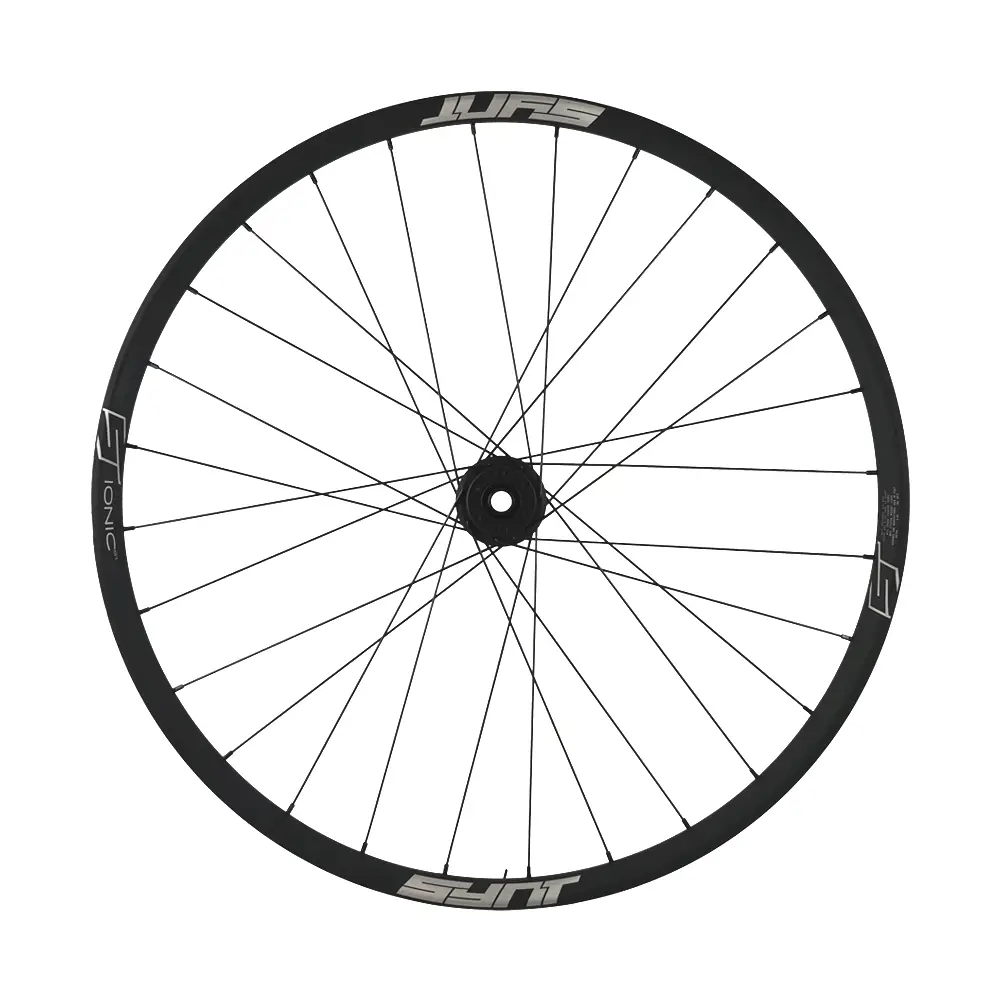 Ruota Anteriore IONIC i33 Tubeless Ready Disc 29'' Boost Made in Italy 6 Fori - image