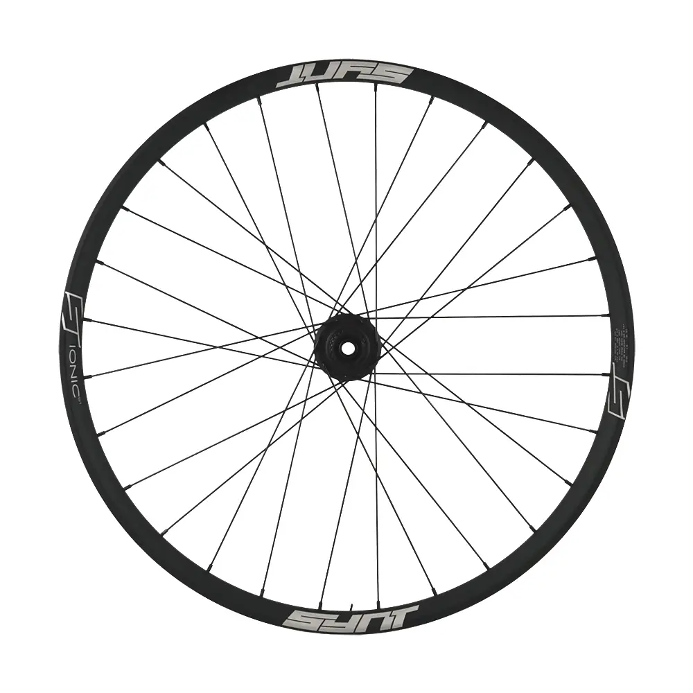 Ruota Posteriore IONIC i33 Tubeless Ready Disc 29'' Boost Made in Italy Microspline SH12 6 Fori - image