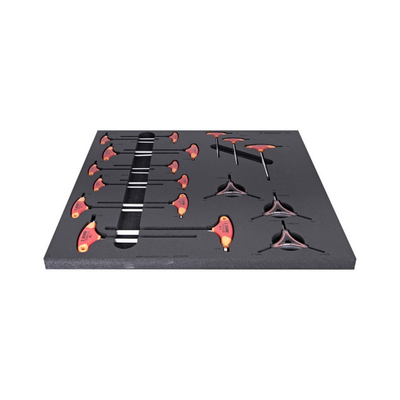 Tray with Tools Set of T / Y Torx and Allen keys