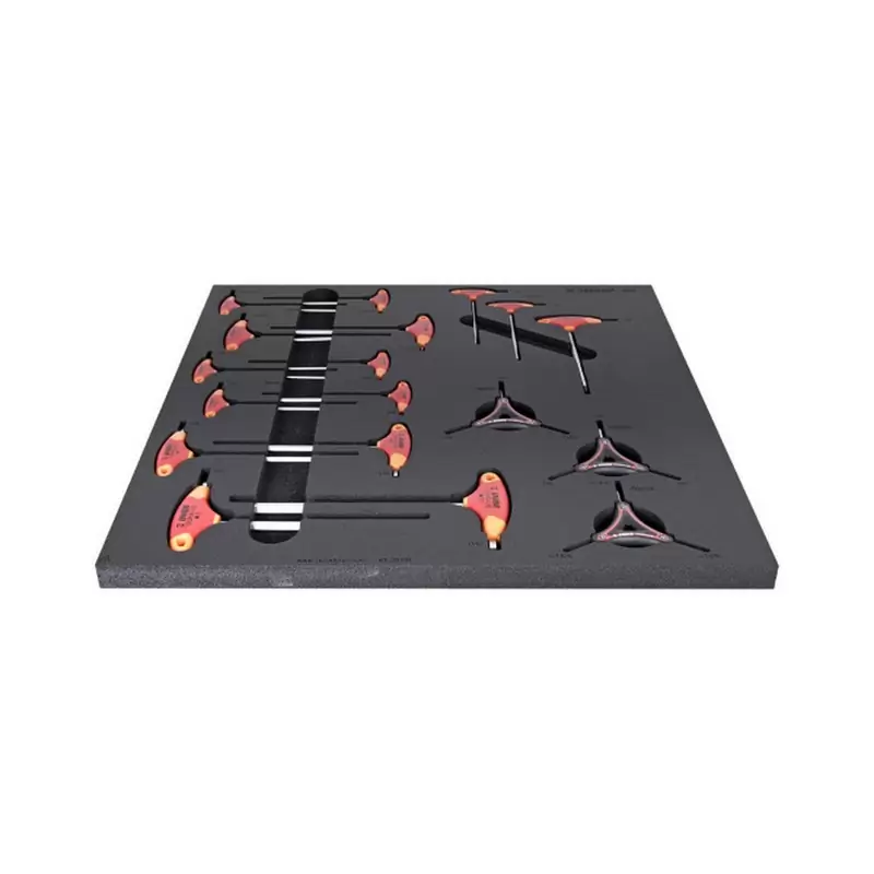 Tray with Tools Set of T / Y Torx and Allen keys - image