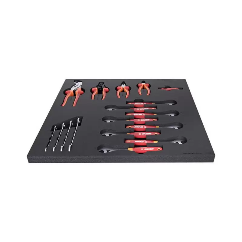 Tray with Open-ended Wrenches, Cone Wrenches and Pliers Tools - image