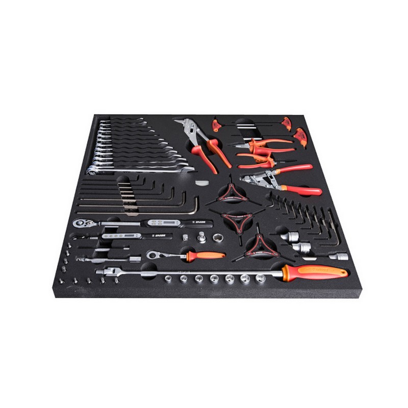 Tray with Keys, Torx and Allen Tools, Sockets, Dynamometric and Pliers