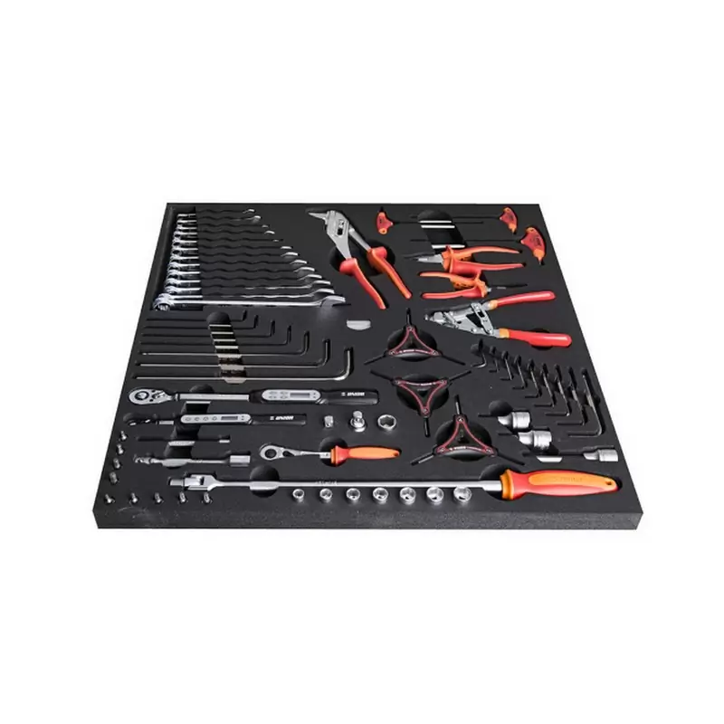 Tray with Keys, Torx and Allen Tools, Sockets, Dynamometric and Pliers - image
