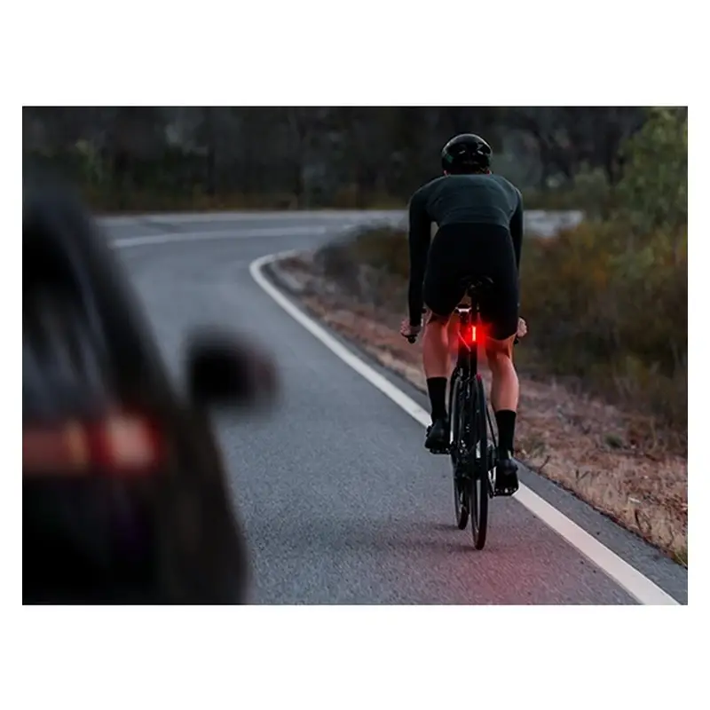 Feu Arrière TR 30 #5