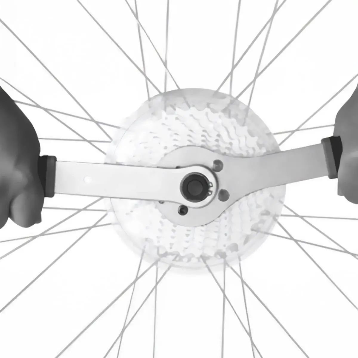 Frusta per smontaggio cassetta TB-FW41 #1
