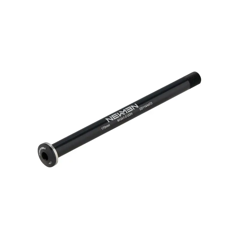 UDH 12x148 M12X1.0 170 mm Heckpasser -Kopfstift - image