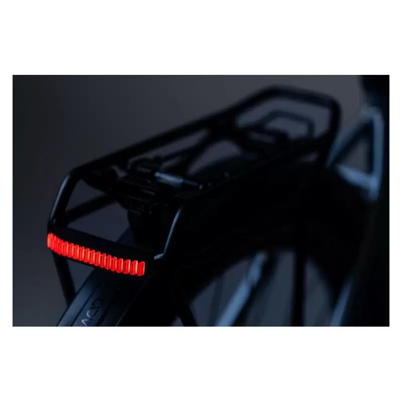 Luce Posteriore Portapacchi E-bike Carrier Rear Light Pro-E HPA Bosch BES2 #4