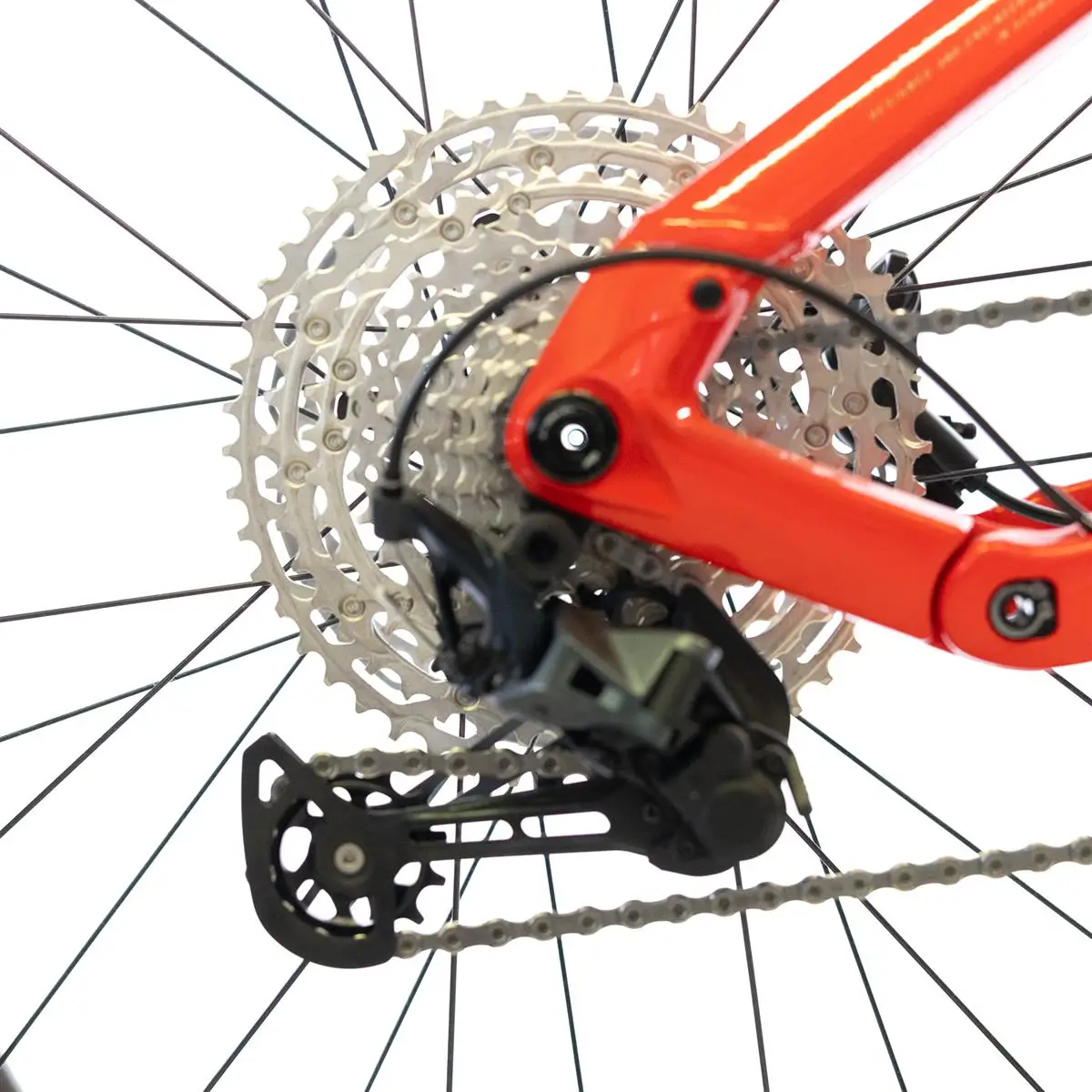 AllMtn 4 Danno Estetico 29/27.5