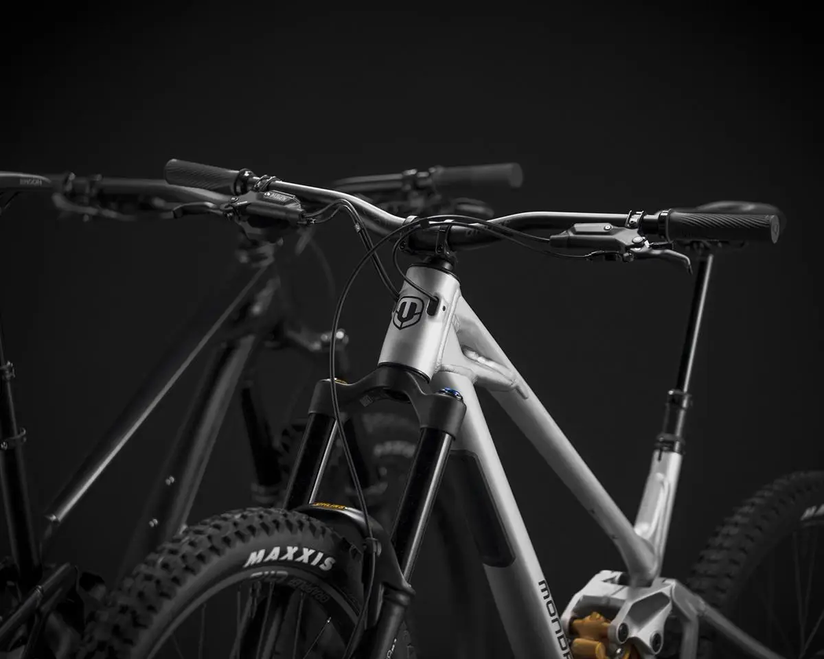 Mondraker Anark in Azione Curva