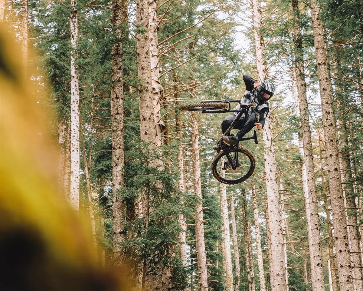 Mondraker Anark Profilo