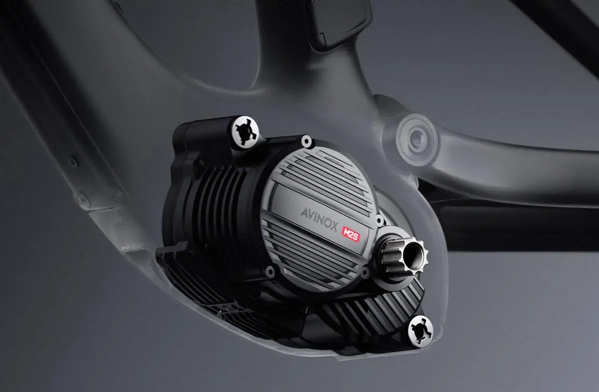 Unità motore Avinox M2S