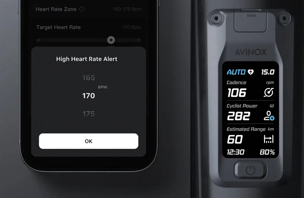 Display controllo Avinox