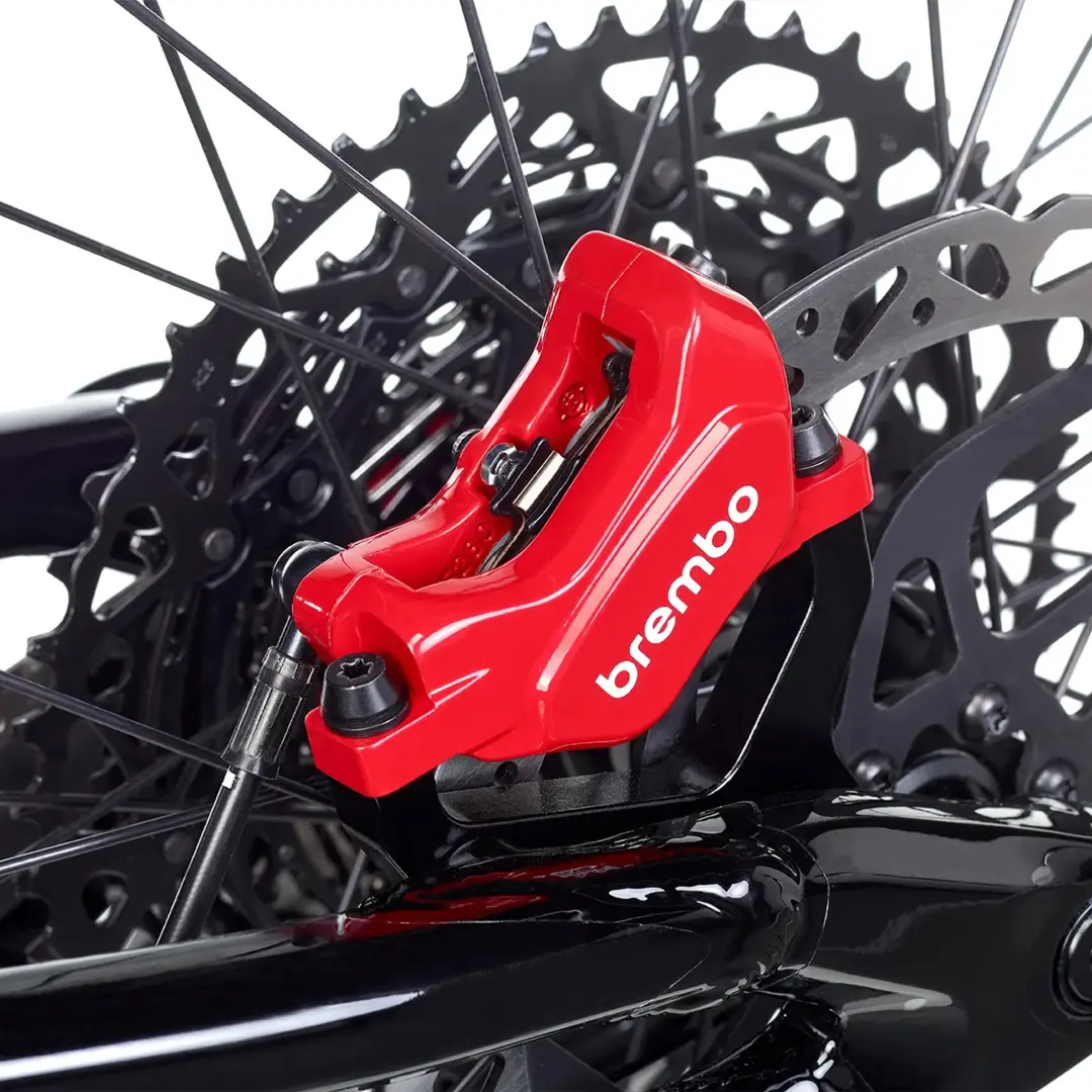 2.3 mm thick rotors and Brembo braided steel hoses