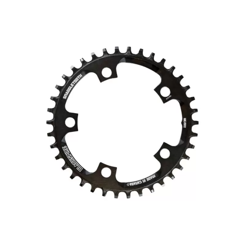 Snaggletooth Ebike Crown Bolt Ring 110mm 38D - image